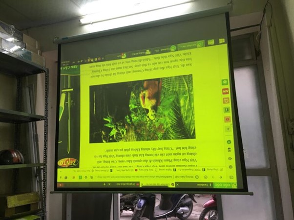 Lỗi máy chiếu bị vàng và cách khắc phục nhanh chóng