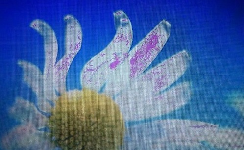 Một số lỗi của màn hình ghép thường gặp phải và cách khắc phục